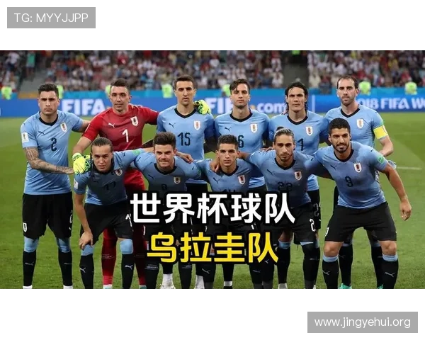 2026年世界杯晋级球队名单全解析，哪些国家有望冲击冠军宝座